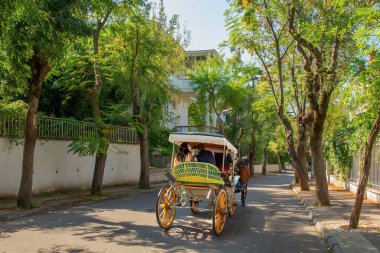Caddenin aşağısında Princes Adaları 'nın Büyükşehir ilçesinde at arabası gezisi