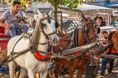 BUYUKADA, TURKEY - October 10th, 2019: Horse carriage ready to pick up tourists.  