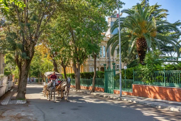 BUYUKADA, TURKEY - 10 Ekim 2019: Büyükada adasının caddesinde at arabası