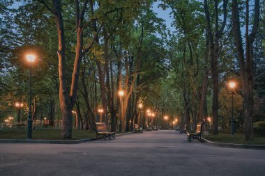 Boş şehir parkında bahar akşamı, şehir teması