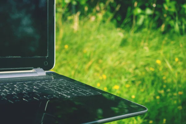 Adam dışarıda bilgisayarla çalışıyor.