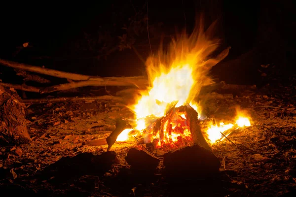 暗い夜の森の中の焚き火 — ストック写真