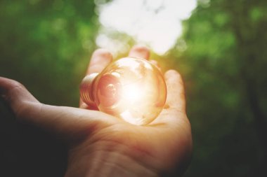 Bahçe yeşili arka planda el ele tutuşan ampul