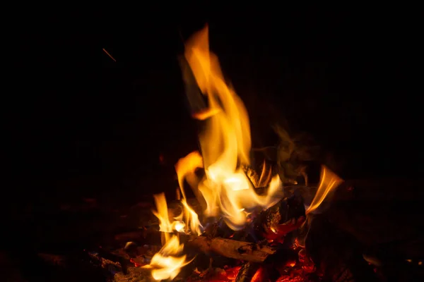 暗い夜の森の中の焚き火 — ストック写真