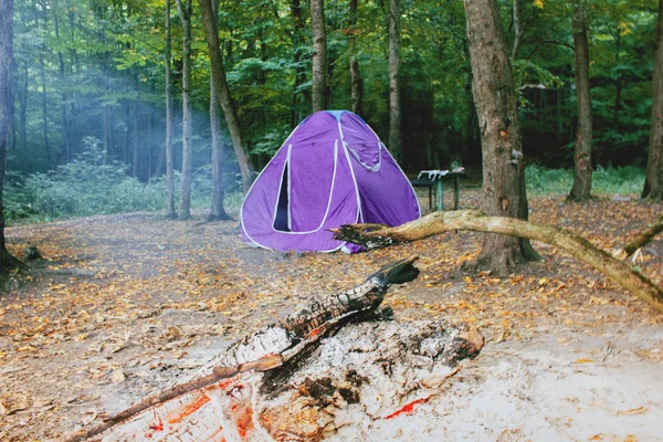 Sátor az erdőben, jó pihenés az erdőben — Stock Fotó