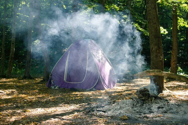 森の中のテントや森の中の休息 — ストック写真