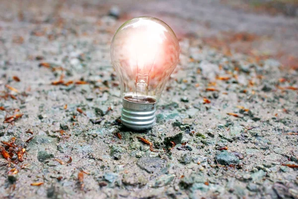 Lysande glödlampa - idé och brainstorming — Stockfoto