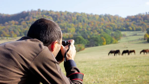 Fotografen Tar Bilder Hästar Naturen — Stockfoto