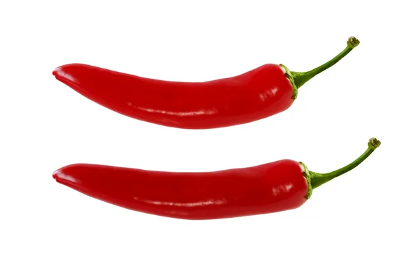 Piros chili paprika felett fehér háttér — Stock Fotó