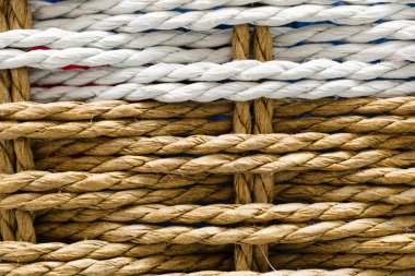 Doku tasarımı için. Ahşap iç içe twigs.