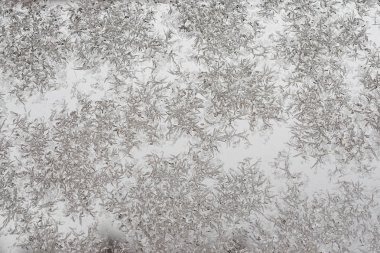 Frost'un üzerinde cam desenleri