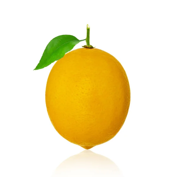Λεμόνι φρούτων με αφήνει απομονωθεί σε λευκό φόντο — Φωτογραφία Αρχείου