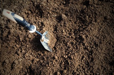 Soil with shovel. Close-up. To plant the plant in the garden clipart