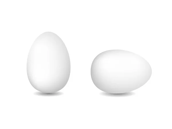 Two vector white eggs. Isolated eggs on white background. — Stock Vector