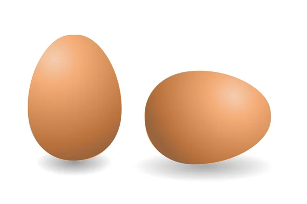 Deux œufs bruns vecteurs. Œufs isolés sur fond blanc . — Image vectorielle