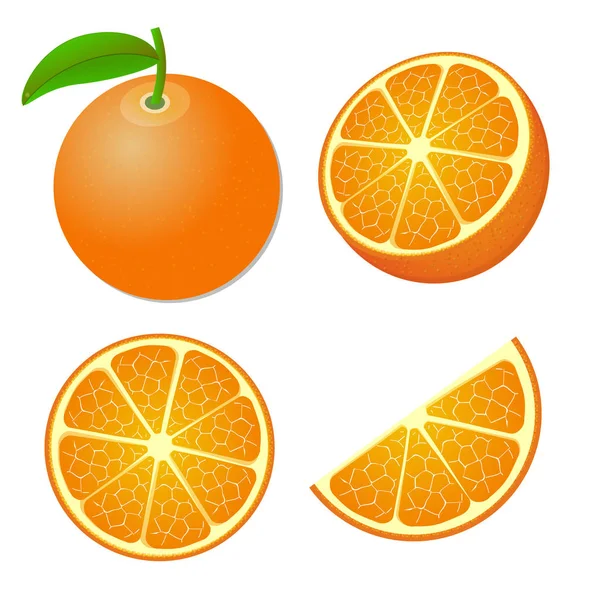 Raccolta di frutti interi e tagliati a fette d'arancia isolati su fondo bianco. Vettore — Vettoriale Stock