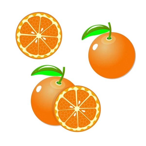 Коллекция цельных и нарезанных апельсиновых фруктов на белом фоне. Вектор — стоковый вектор
