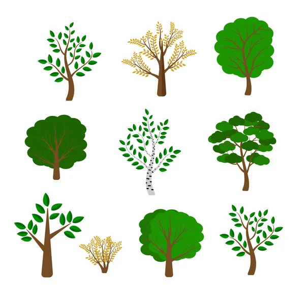 Vektorsatz von Bäumen. Bäume auf weißem Hintergrund — Stockvektor