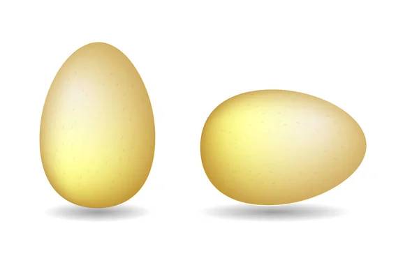 Dos huevos marrones vector. Huevos aislados sobre fondo blanco . — Vector de stock