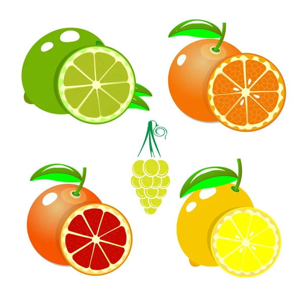 Set van fruit sinaasappel, citroen, limoen, grapefruit. Cartoon vruchten clipart collectie. Pictogrammen geïsoleerd op een witte achtergrond. Vector — Stockvector