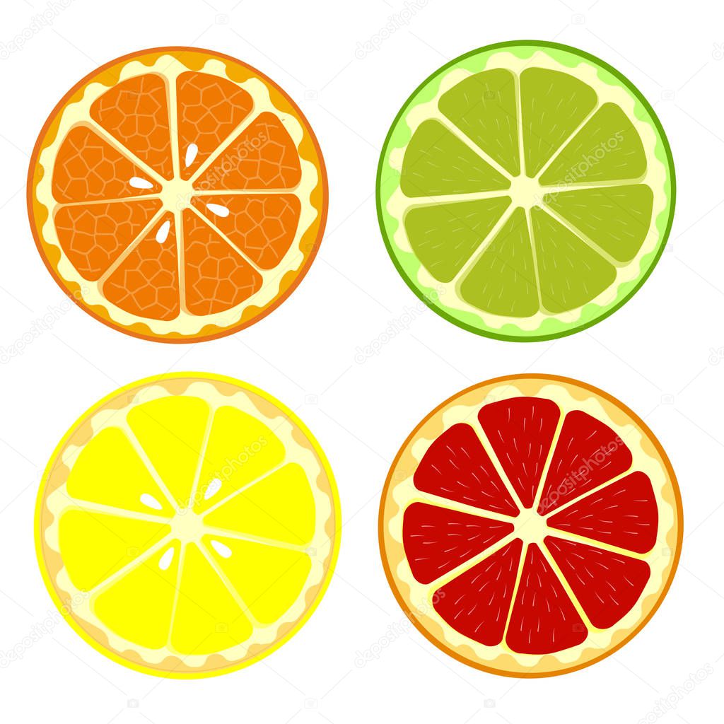 Set of fruits orange, lemon, lime, grapefruit. Cartoon fruits clipart collection. Icons isolated on white background. Vector