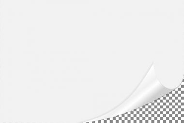 Sayfa curl köşe boş kağıt üzerine. Haddelenmiş açı dergisi. Vektör