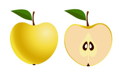 Parlak vektör kümesi yarım, dilim renkli sulu yeşil elma. Beyaz arka plan üzerinde taze elma.