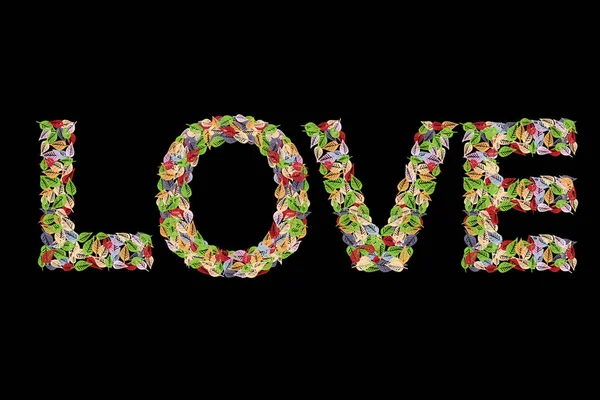 Composición colorida con inscripción LOVE y elementos florales abstractos y licencia de otoño. Aislado sobre fondo negro. Vector — Vector de stock