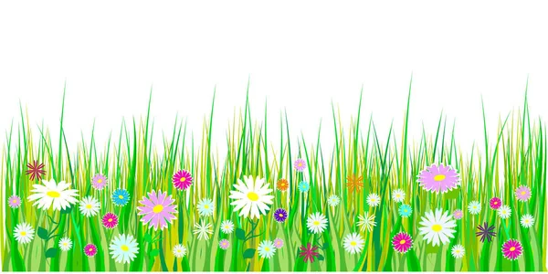 Bahar çim ve çiçek sınırları. Paskalya bahar çimen ve çayır çiçeklerle dekorasyon. Beyaz arka plan üzerinde izole. Vektör — Stok Vektör