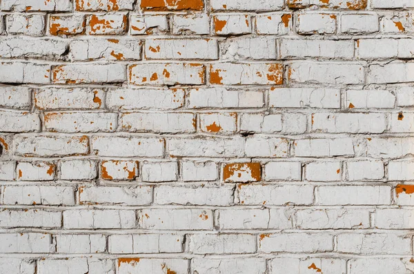 Fondo y textura de pared de ladrillo grunge blanco — Foto de Stock