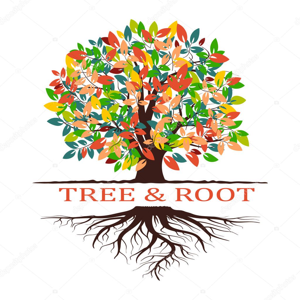 Autumn tree silhouette. Isolated on white background. Vector illustration. Tree with roots. Isolated on white background.