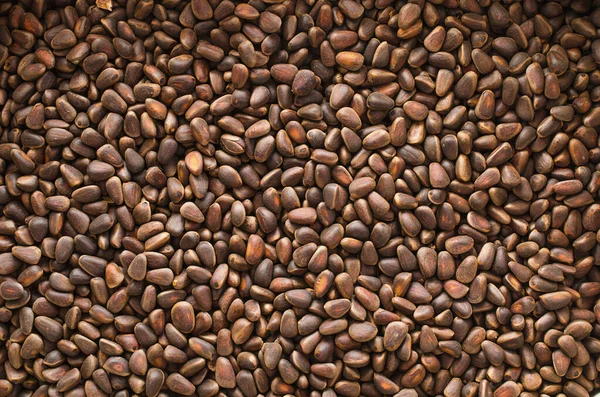 Pine Nuts Shells Background — Stock Photo, Image