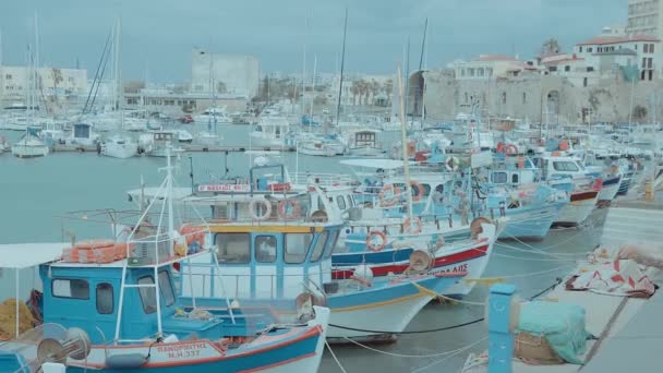 Porto dell'Iraq con barche da pesca tradizionali — Video Stock