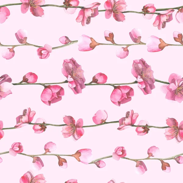 Sakura şubesi ile suluboya oryantal desen. — Stok Vektör