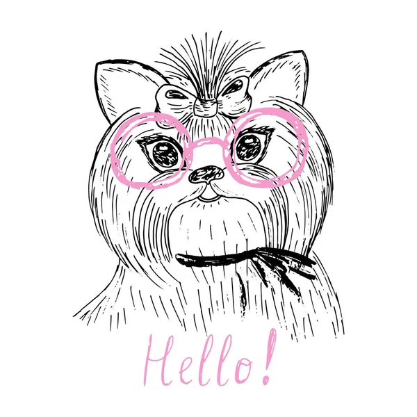 Aranyos kiskutya szemüveg vázlatot doodle. Vektoros illusztráció. — Stock Vector