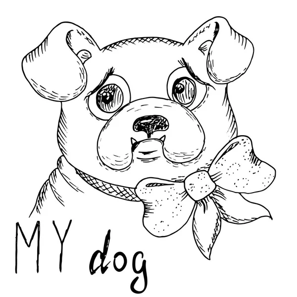 Dibujo vectorial en blanco y negro de un perro. Ilustración vectorial — Archivo Imágenes Vectoriales