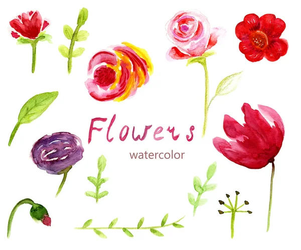 Ensemble d'éléments floraux. Illustration aquarelle dessinée à la main — Photo