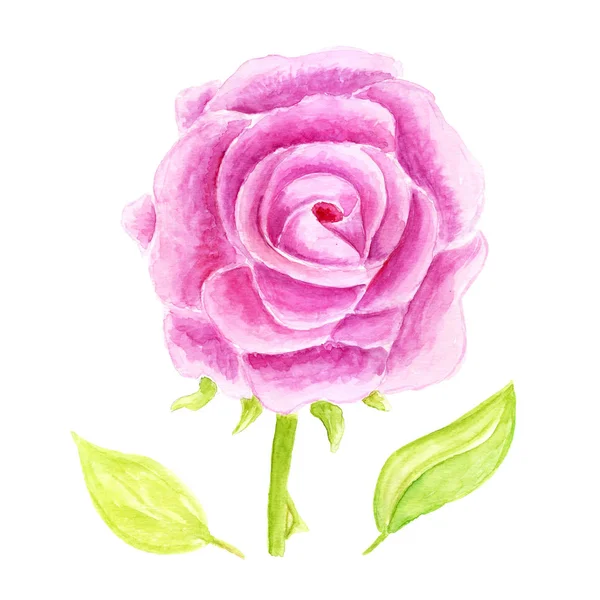 Illustrazione ad acquerello di fiori di rosa disegnata a mano. FLower composizione decorativa per l'invito di nozze e salvare la scheda di data — Foto Stock