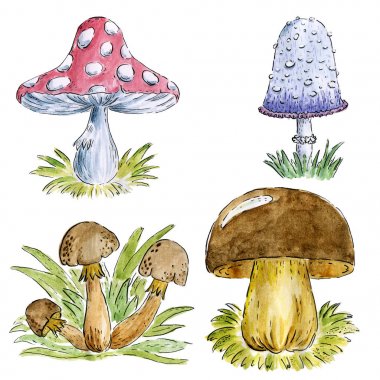 Elle çizilmiş suluboya mantar ayarlayın. Botanik illüstrasyon izole beyaz arka plan üzerinde