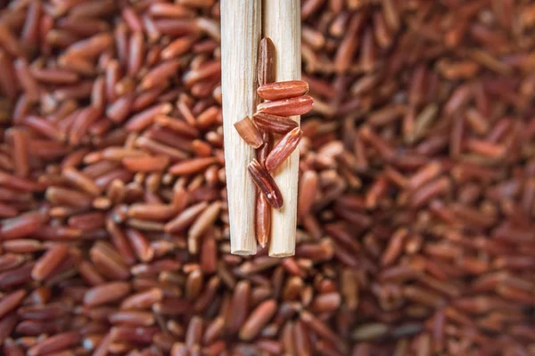 Vahşi kırmızı pirinç sopa closeup ile