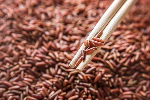Wild red rice with sticks closeup