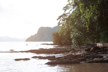 Güzel gün batımı manzarası El Nido kayalık plaj