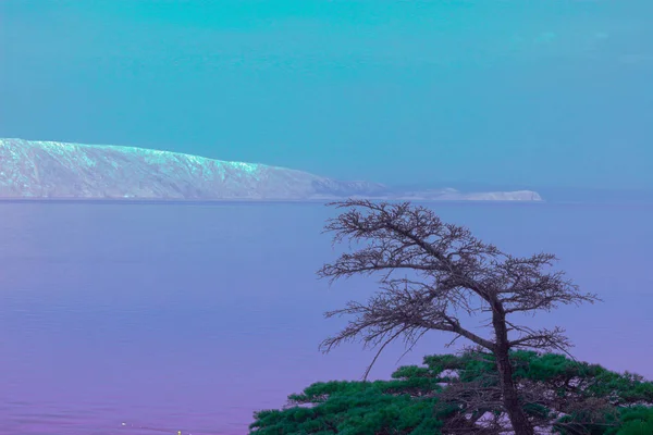 Senj, Island Krk, Hırvatistan için görünümü