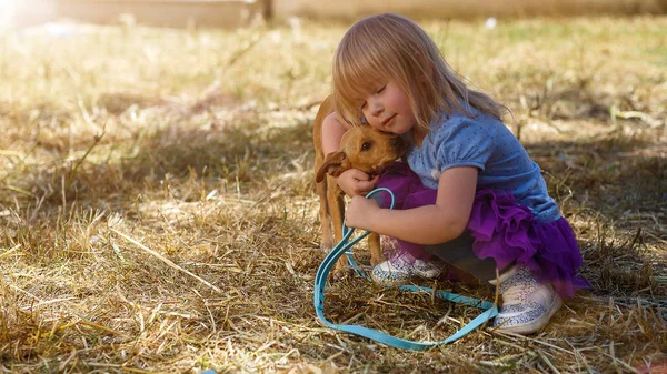 Красива маленька дівчинка обіймає собаку — стокове фото