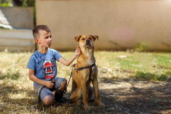소년은 강아지와 놀기의 8 년 — 스톡 사진