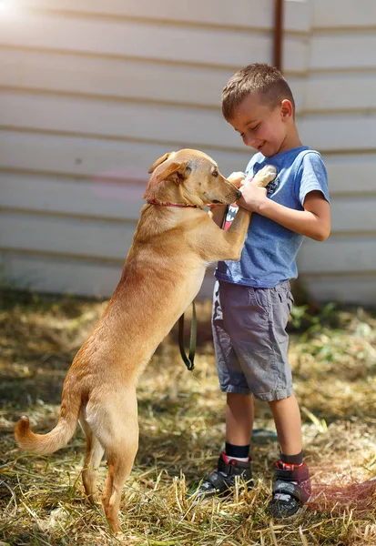 Ragazzo otto anni di giocare con il cane — Foto Stock