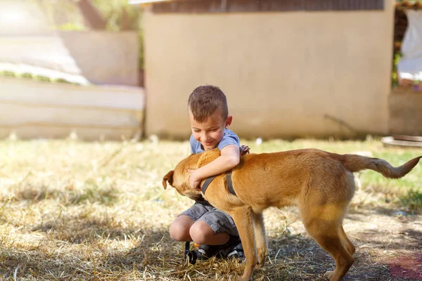 Giovane bambino ragazzo formazione Golden Retriever cucciolo cane guardando a destra — Foto Stock