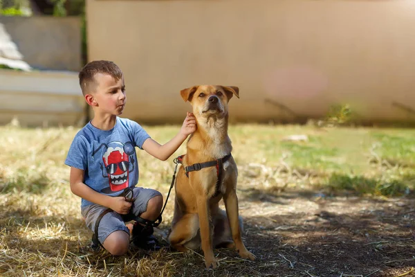 Молодой мальчик обнимает щенка на зеленой траве . — стоковое фото