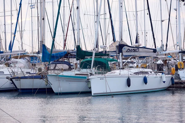 Mayorka Marina'da yatlar