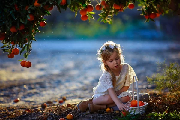 Kız bir portakal bahçesi